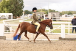 SBM_01596