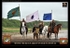 equiscot 8611