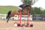 Cls 33 85cm Amateur Quali portfolio