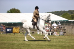 SBM_16101
