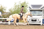 SBM_01460