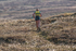 Dockray Hartside-278