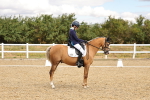 SBM_004672