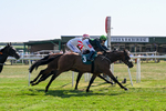 150726-Race 4-The Good Biscuit-3392