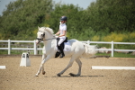 SBM_008991