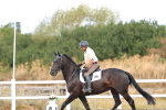 SBM_003708