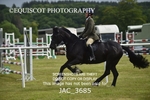 JAC_3685