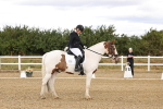 SBM_006336