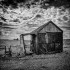 DUNGNESS 1