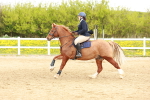 SBM_004195