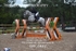 BPP_0447