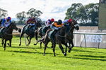 140926-Race 7-Forest Caper-7941