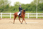 SBM_006772