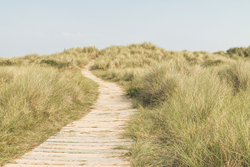 Boardwalk through the Dunes