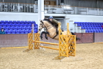 Class 42 - Exceeding 143cms portfolio