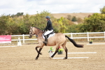 SBM_009903