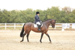 SBM_001385