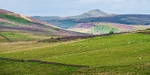 Heather beneath Shutlingsloe (1)
