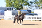 Class 302 - Ridden M&M - Large Breeds portfolio