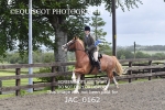 CHAMPIONSHIPS AND SUPREME portfolio