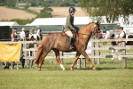 SBM_09739