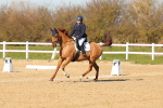 SBM_003491