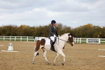 SBM_002631