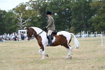 WJ7_4973