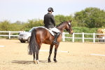 SBM_007547