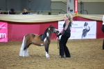 SBM_15538
