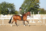 SBM_01131