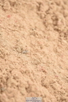 230813A-115510-12168