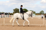 SBM_15883