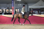 SBM_02963