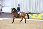 SBM_001491