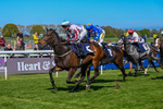 230426-Race 3-Im Next-4276