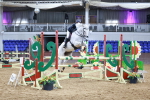 SBM_008190