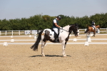 SBM_004277