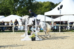 SBM_61619