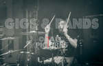 Pigsx7-51