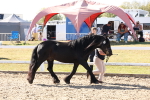 SBM_14056