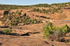 Canyon-6