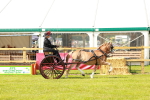 SBM_02573