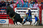 _DSC8551