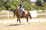 SBM_010678