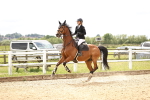 SBM_007841