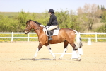 SBM_007891