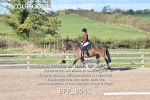 BPP_8941