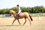 SBM_007516