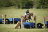 BVHT 140517  IXC -9